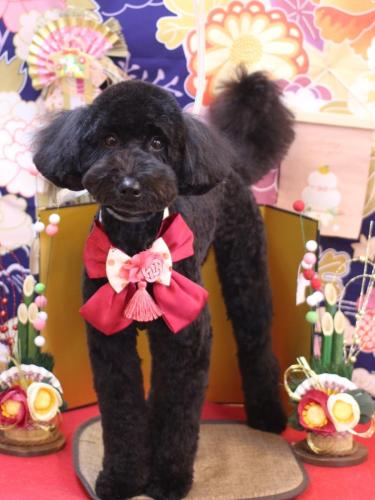 20240119アロちゃん